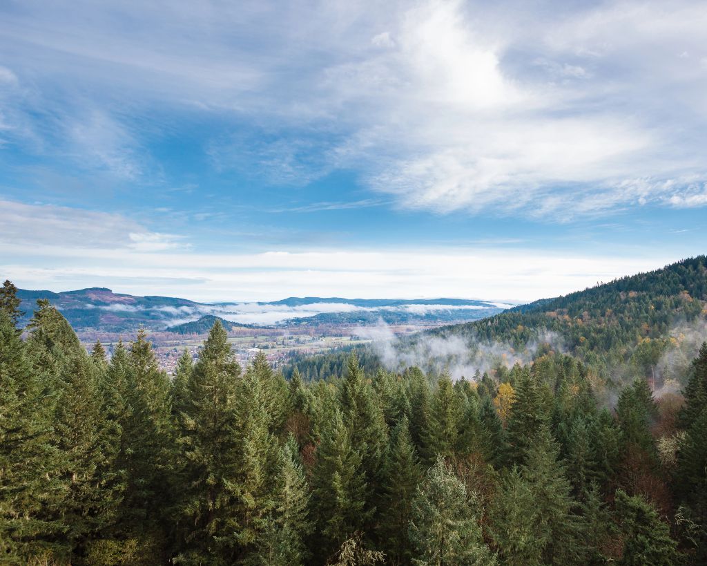 panoramic view of springfield oregon from a hiking spot